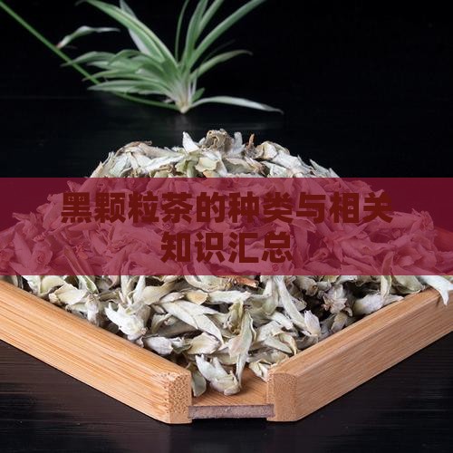 黑颗粒茶的种类与相关知识汇总