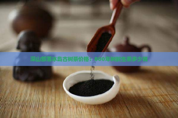 深山部落冰岛古树茶价格：800年树龄生茶多少钱