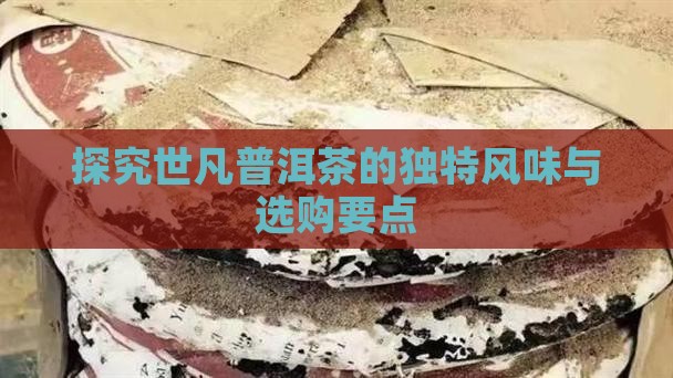 探究世凡普洱茶的独特风味与选购要点