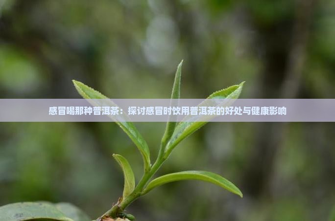 感冒喝那种普洱茶：探讨感冒时饮用普洱茶的好处与健康影响