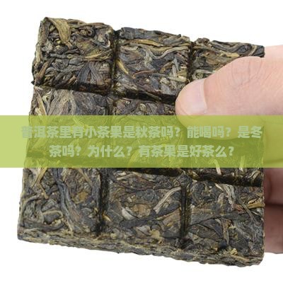 普洱茶里有小茶果是秋茶吗？能喝吗？是冬茶吗？为什么？有茶果是好茶么？