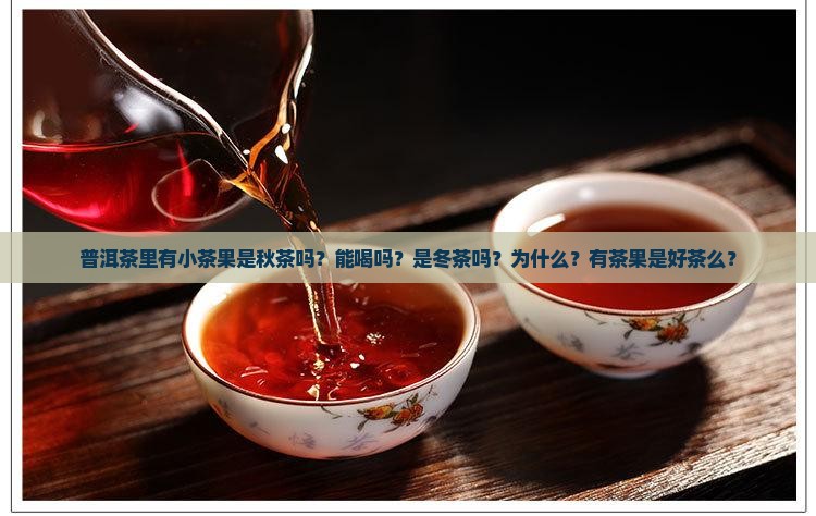 普洱茶里有小茶果是秋茶吗？能喝吗？是冬茶吗？为什么？有茶果是好茶么？
