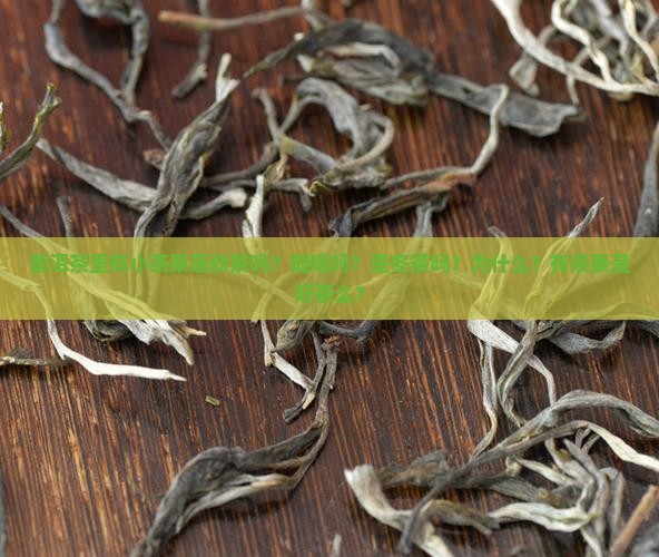 普洱茶里有小茶果是秋茶吗？能喝吗？是冬茶吗？为什么？有茶果是好茶么？