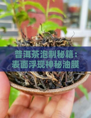 普洱茶泡制秘籍：表面浮现神秘油膜现象