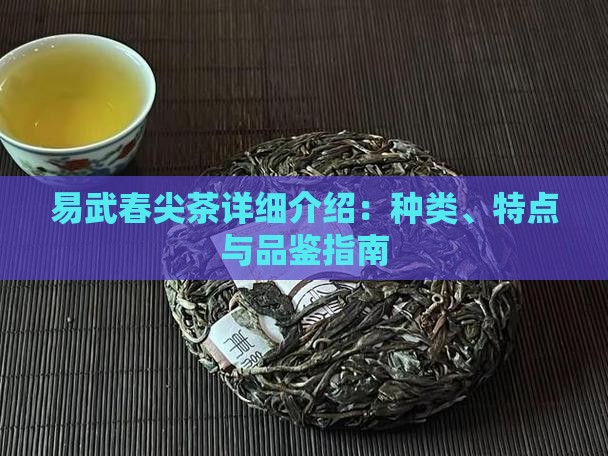 易武春尖茶详细介绍：种类、特点与品鉴指南