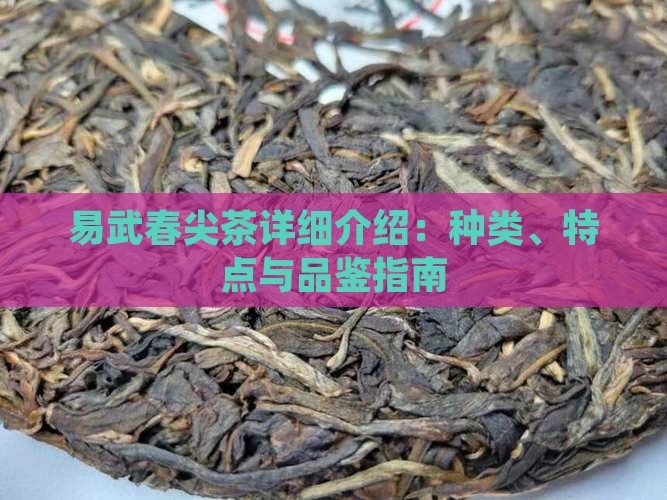 易武春尖茶详细介绍：种类、特点与品鉴指南