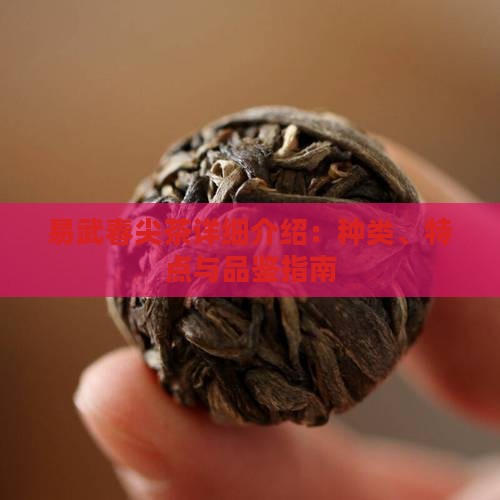 易武春尖茶详细介绍：种类、特点与品鉴指南