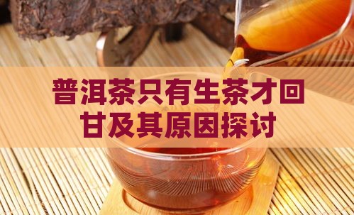 普洱茶只有生茶才回甘及其原因探讨