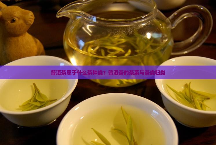 普洱茶属于什么茶种类？普洱茶的茶系与茶类归类
