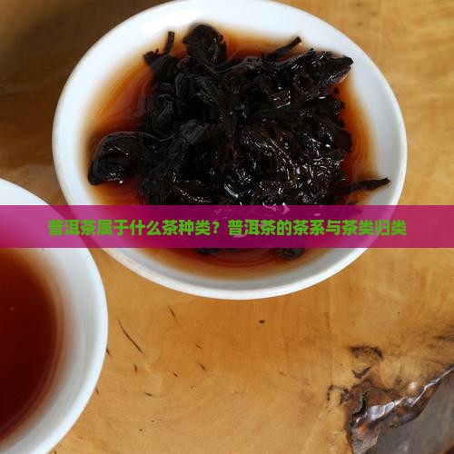 普洱茶属于什么茶种类？普洱茶的茶系与茶类归类