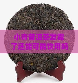 小青普洱茶发霉了还能可能饮用吗？