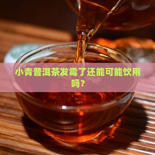 小青普洱茶发霉了还能可能饮用吗？