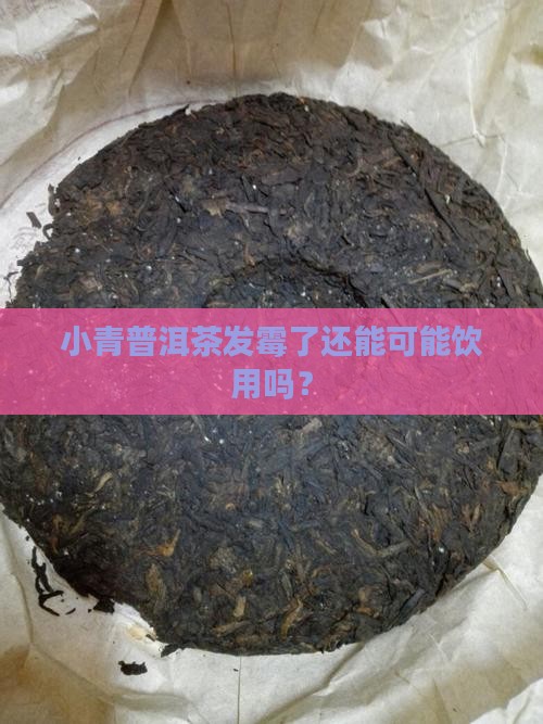 小青普洱茶发霉了还能可能饮用吗？