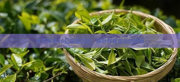 东莞存有30亿吨普洱茶，茶叶存储背后的故事