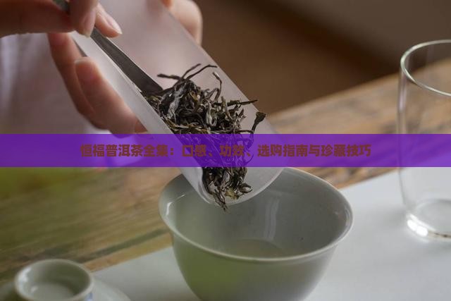 恒福普洱茶全集：口感、功效、选购指南与珍藏技巧