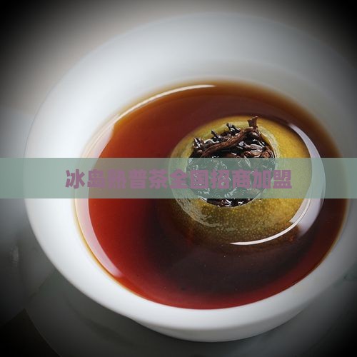 冰岛熟普茶全国招商加盟