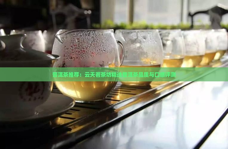 普洱茶推荐：云天茗茶坊精选普洱茶品质与口感评测