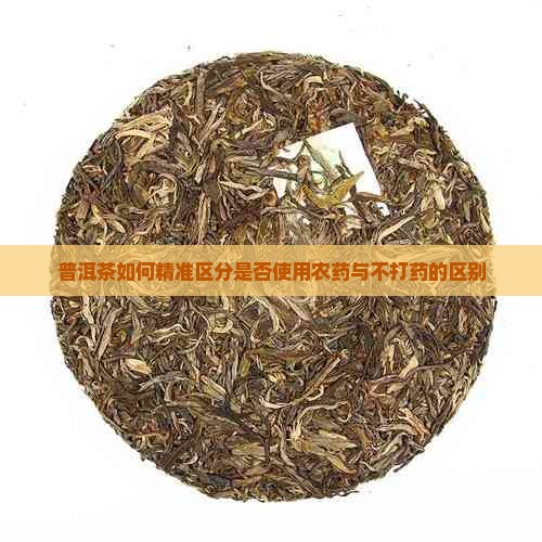 普洱茶如何精准区分是否使用农药与不打药的区别