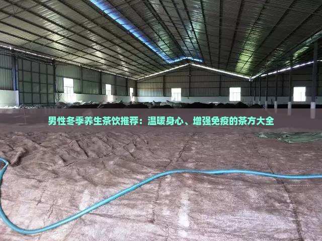 男性冬季养生茶饮推荐：温暖身心、增强免疫的茶方大全