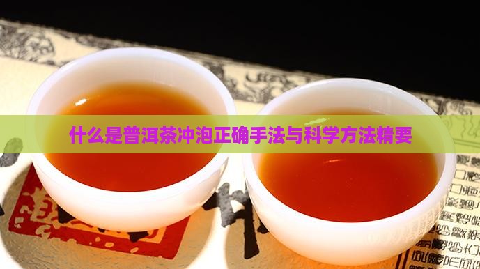 什么是普洱茶冲泡正确手法与科学方法精要