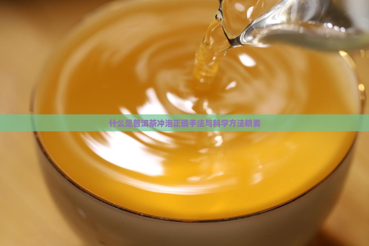 什么是普洱茶冲泡正确手法与科学方法精要