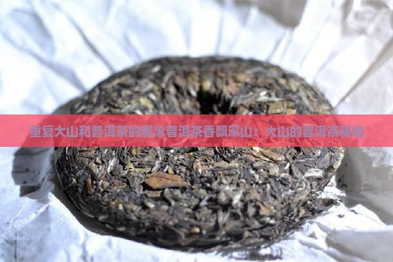 重复大山和普洱茶的概念普洱茶香飘深山：大山的普洱茶秘境