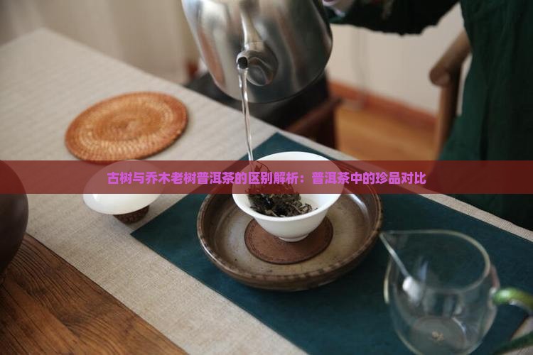 古树与乔木老树普洱茶的区别解析：普洱茶中的珍品对比