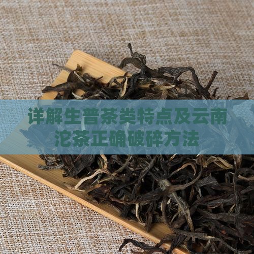 详解生普茶类特点及云南沱茶正确破碎方法