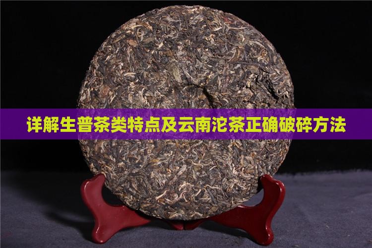 详解生普茶类特点及云南沱茶正确破碎方法