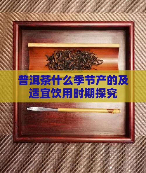 普洱茶什么季节产的及适宜饮用时期探究