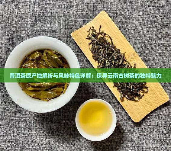 普洱茶原产地解析与风味特色详解：探寻云南古树茶的独特魅力
