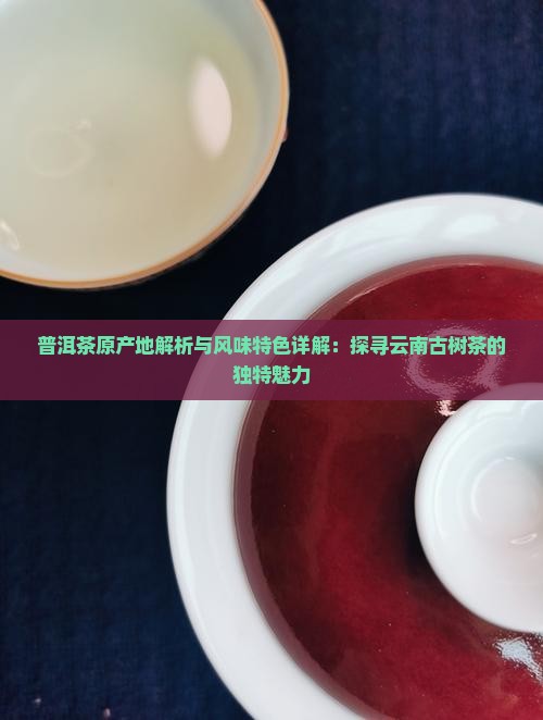 普洱茶原产地解析与风味特色详解：探寻云南古树茶的独特魅力