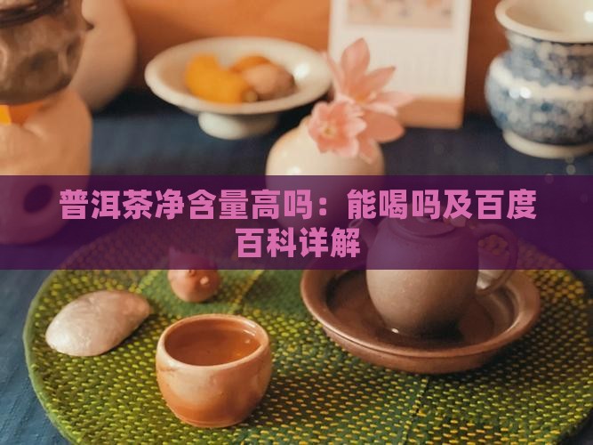 普洱茶净含量高吗：能喝吗及百度百科详解