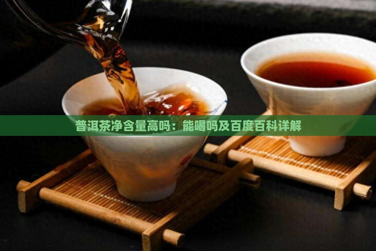普洱茶净含量高吗：能喝吗及百度百科详解