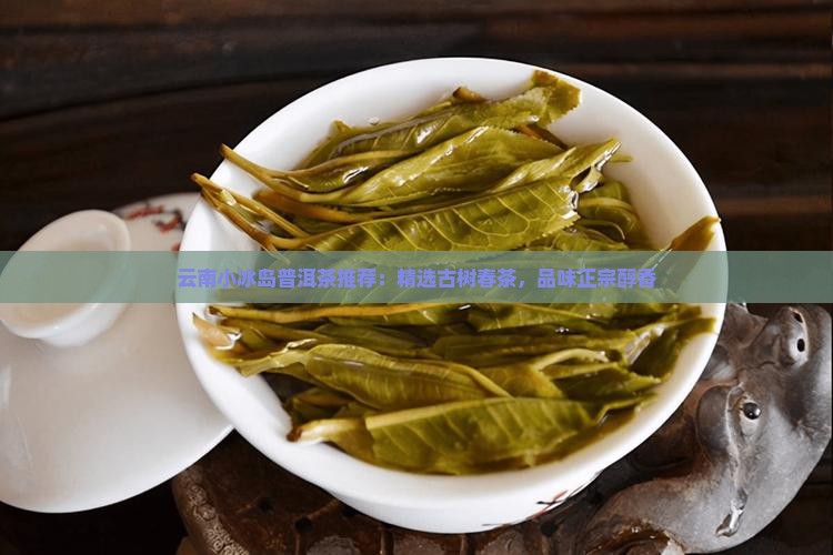 云南小冰岛普洱茶推荐：精选古树春茶，品味正宗醇香