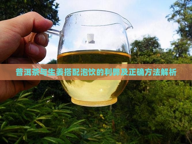 普洱茶与生姜搭配泡饮的利弊及正确方法解析