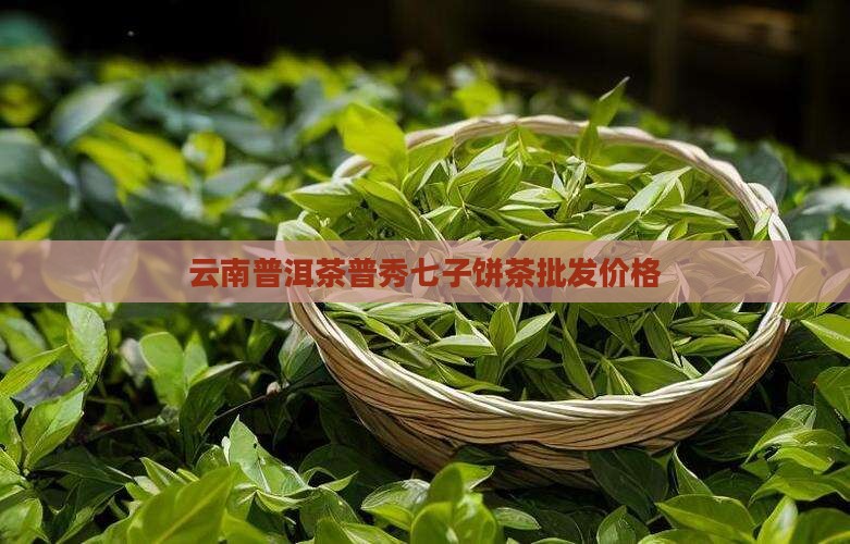 云南普洱茶普秀七子饼茶批发价格