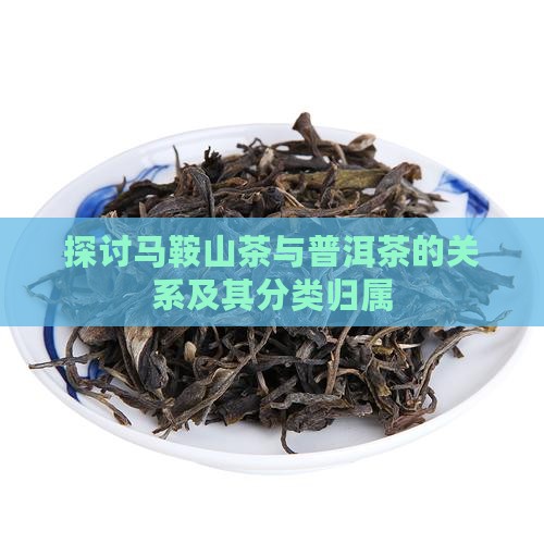 探讨马鞍山茶与普洱茶的关系及其分类归属
