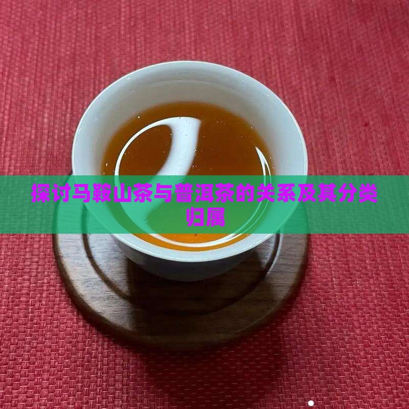 探讨马鞍山茶与普洱茶的关系及其分类归属