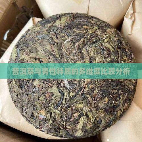 普洱茶与男性特质的多维度比较分析