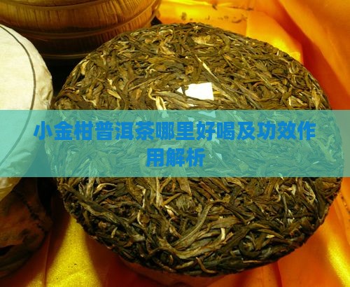 小金柑普洱茶哪里好喝及功效作用解析
