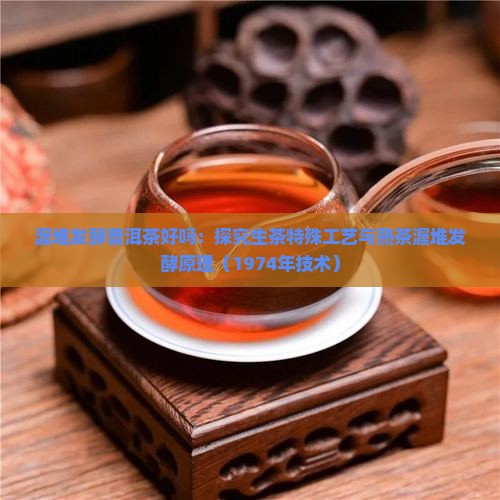 渥堆发酵普洱茶好吗：探究生茶特殊工艺与熟茶渥堆发酵原理（1974年技术）