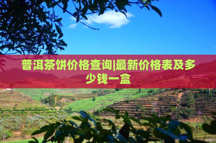 普洱茶饼价格查询|最新价格表及多少钱一盒
