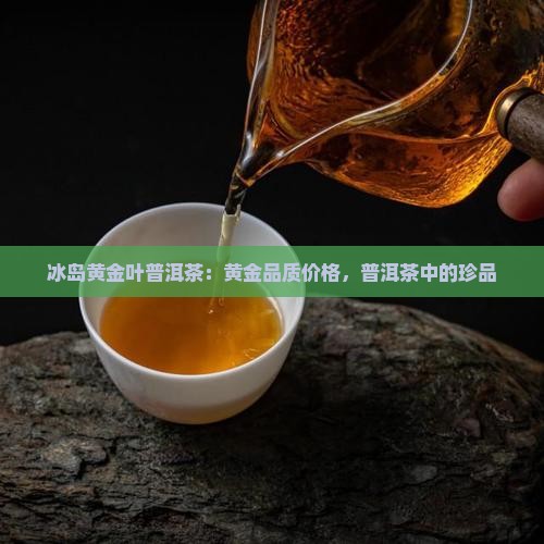 冰岛黄金叶普洱茶：黄金品质价格，普洱茶中的珍品