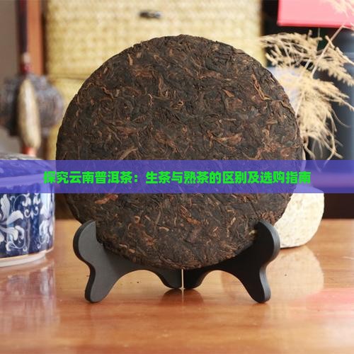 探究云南普洱茶：生茶与熟茶的区别及选购指南