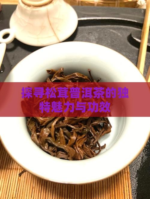 探寻松茸普洱茶的独特魅力与功效