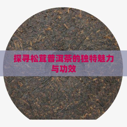 探寻松茸普洱茶的独特魅力与功效