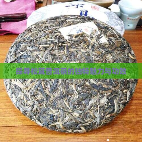 探寻松茸普洱茶的独特魅力与功效