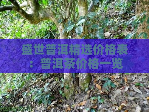 盛世普洱精选价格表：普洱茶价格一览