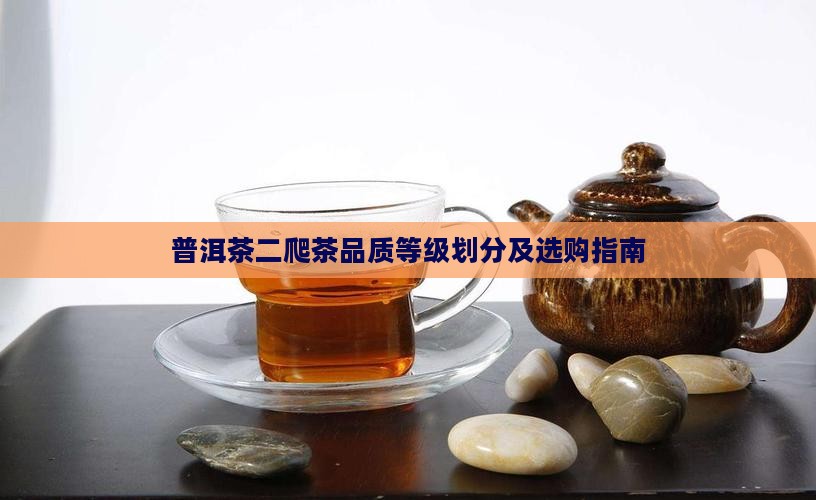 普洱茶二爬茶品质等级划分及选购指南